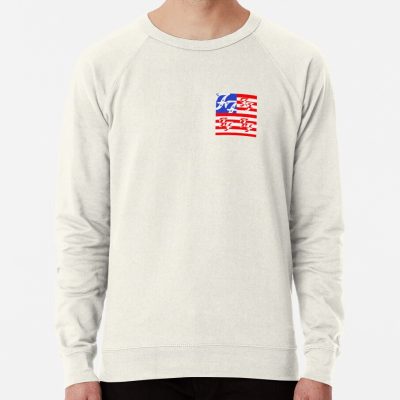 American Fighter Flag Sweatshirt Official Foo Fighters Merch